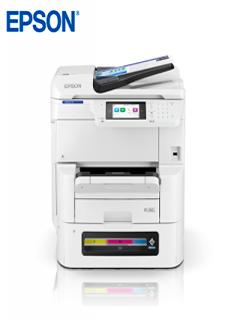 C11CL31301